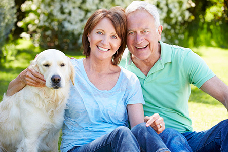 Elevate Dental