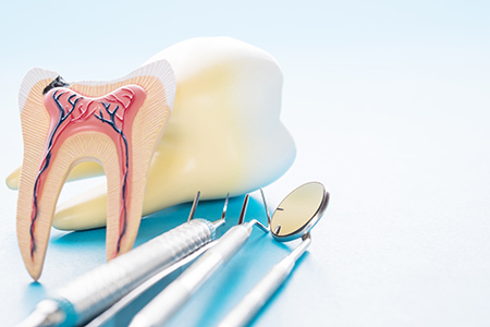 Elevate Dental